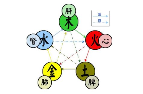 土木水火金|五行（对万事万物的取象比类）